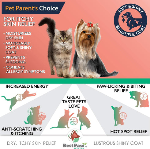 Pure Hemp & Salmon Oil for Dogs and Cats - Omega Skin Care Remedy for Dandruff, Shedding, Allergy & Itchy Skin Relief - Joint Supplement for Pet A...
