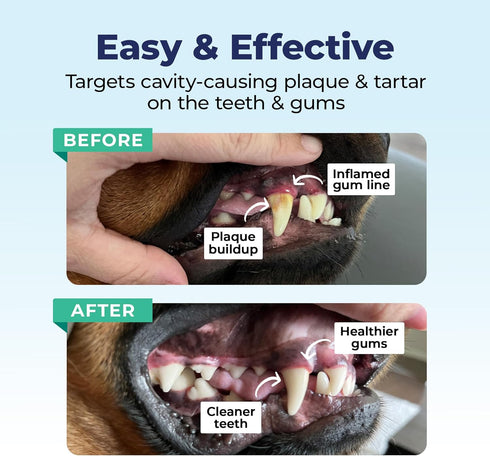 Vetnique Dentabliss - Dog Teeth Cleaning Finger Mitt Dental Wipe - Dog Plaque and Tartar Prevention with Brushing Beads - Convenient Dog Teeth Wip...