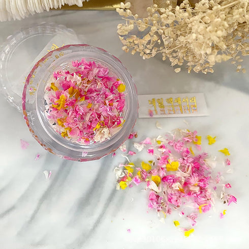 3 Boxes Mini Dry Flowers Tiny Dried Flowers Resin Fillers Pressed Flowers Mini Flower for Nails Crafts DIY Resin Mold Jewelry Making Nail Art Deco...
