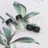 JIUWU 10pcs 5ml 1/6 Oz Scaled Clear Glass Vials Sample Transparent Liquid Bottles Screw Cap Lab Container...