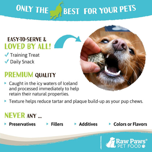Raw Paws Cod Skin Cubes for Dogs, 5-oz – Cod Skins for Dogs - Fish Skins for Dogs - Fish Skin Chews for Dogs - Cod Skin Dog Treats - Cod Treats fo...