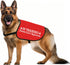 JXGZSO Nervous Do Not Approach Dog Jacket Vest Nervous Rescue Space Dog Vest Dog Walking Slogan Warning Vest (Training approach M)...