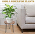 Wooden Plant Stand, Indoor Modern Wood Plant Riser Decorative Corner 7.8" Round Plant Stool Planter Short Stand Flower Pot Holder for Home Garden ...