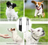 2 Pack Dog Whistle, Adjustable Ultrasonic Silent Dog Whistle, Professional Recall Stop Dog Barking Dog Training Whistles with Lanyard(Black&White)...