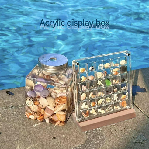 Acrylic Magnetic Seashell Display Box, Seashell Collection Box and Jewellery Display Box, Collection of Seashells for Display, Small Crafts Storag...