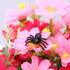 120 PCS Mini Fake Spider?Plastic Black Spider Toys, Simulated Insect Toys for Funny Prank Spider and Joke Halloween Party Supplies...