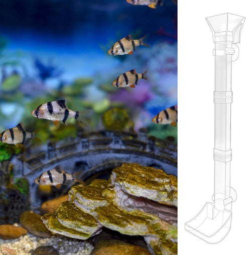 Rainmae Aquarium Fish Shrimp Feeding Dish Set, Transparent Aquarium Fish Feeder Tube Kit, Fish Tank Feeding Supplies with Cleaning Brush Aquarium ...