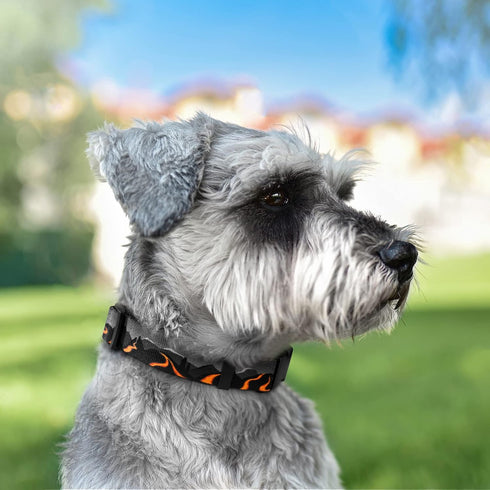 Nature Dog Collar Travel Pattern Adjustable Nylon Pet Collars for Small Medium Large Dogs Puppy Designer Print (Hawaii, Neck Fit 10"-13")...