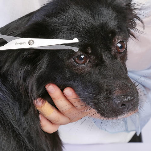 Chibuy Pet Grooming Scissors Set for Dogs & Cats with Safety Round Tips Dog Eye cut Stainless Steel Dog Grooming Scissors Kit, Home Professional P...