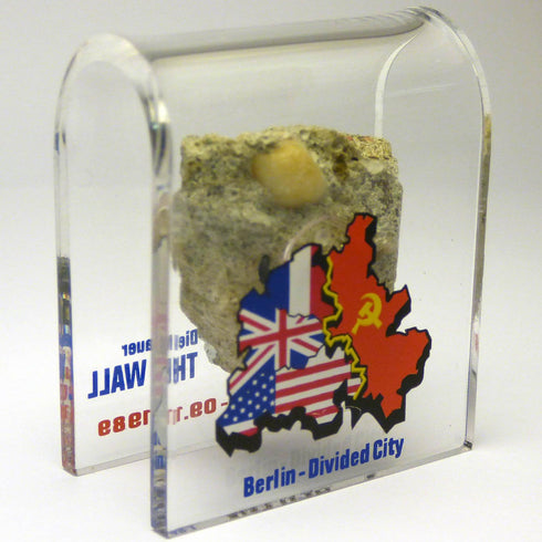 Original Piece of the Berlin Wall - Authentic Souvenir from the Real Wall in Germany Mounted in Acrylic Display (Small (2"X2"), Divided City)...