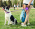 Taglory Retractable Dog Leash, 16ft No Tangle Dog Leash Retractable for Medium and Large Dogs Up to 100 lbs, One-Handed Brake, Pause, Lock, Purple...