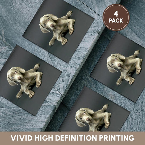 3drose Weimaraner Puppy Ceramic Tile Coaster, Set of 4...
