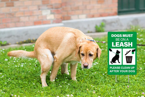 WaaHome No Dog Poop Sign for Yard Lawn with Stakes 8"X12" Clean Up After Your Dog Sign Dogs Must Be On A Leash Sign No Pee No Pooping Dog Sign, Do...