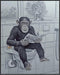 Posterizer 1 pcs-cute funny chimp reading newspaper on toilet-2-Bathroom Restroom Art-Art for Animal Lovers-Gift for Daughter, Son, Kids- unframed...