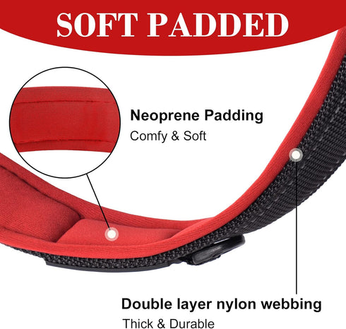 AUAUY Nylon Dog Collar, Pet Dog Reflective Collar, Ultra Soft Neoprene Padded, Adjustable Reflective Stitching Pet Collar with Durable Metal Buckl...