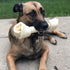 Pet Factory American Beefhide 12" Knotted Bone Dog Chew Treat - Chicken Flavor, 1 Count/1 Pack...