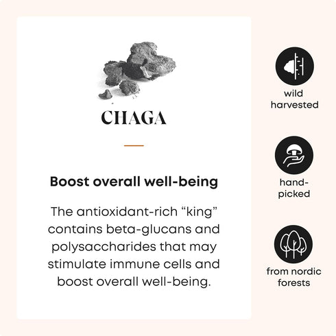 Chaga Mushroom Powder - Wild Harvested Chaga Powder from Estonian Forests. Chaga Mushrooms Powder with Antioxidants for Chaga Tea and Chaga Coffee...