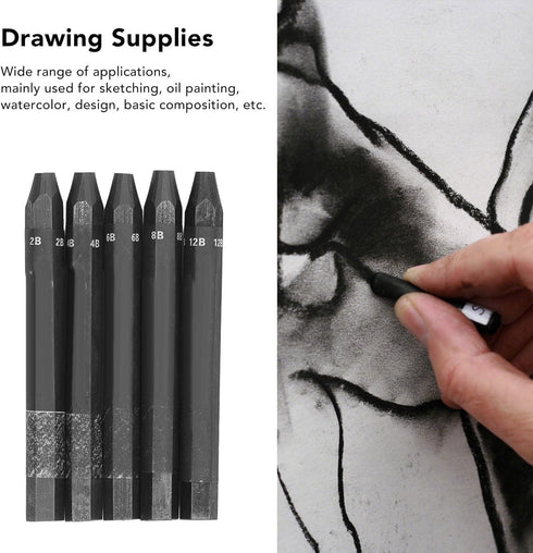 HEEPDD 5Pcs Graphite Sticks, 2B 4B 6B 8B 12B Hex Rod Graphite Stick Set Water Soluble Crayon Sticks for Sketch Shading Pencils...