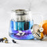 DelighTeas® Glass Teapot | Borosilicate Glass, Stainless Steel Removable Infuser | Designed with non dripping spout...