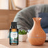 Essential oils for Diffusers for Home, Scent-Bali Island, Single Large Size 50ml, Cakki Fragrance oils, for Candle Making, Diffuser Oil Scents...