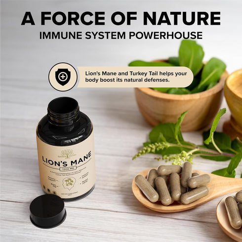 Lions Mane Supplement Capsules with Turkey Tail – Nootropic Brain Fog, Focus, Memory, Nerve Function, & Immune Support Supplement – Non-GMO 1200 M...