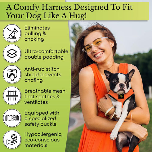 EcoBark Dog Harness - Eco-Friendly Max Comfort Harnesses - Luxurious Soft Mesh Halter - Over The Head Harness Vest- No Pull and No Choke for Puppy...