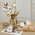 DomeStar 13 Bundles of Cotton Stems, 16.5" Natural Dried Cotton Stalks with Bolls Cotton Blooms Floral Stems for Vase Fillers...