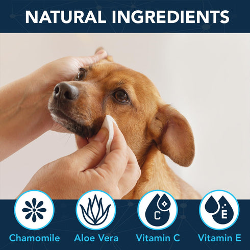 NOVEHA 100 Dog Eye Wipes - Plant-Based Eye Wipes for Dogs - Formulated to Remove Eye Debris, Tear Stains & Eye Discharge - Safe, Convenient, and L...