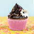 Baking Cups, 100 pieces Paper Cupcake Liners Wrappers Nonstick Muffin Molds Baking Cup Holders for Wedding, Birthday, Baby Shower or Holiday Party...