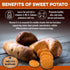 BRUTUS & BARNABY USA Sweet Potato Dog Treats - Crunchy Grain Free Cinnamon Apple Sticks, Promotes Positive Gut Health with Natural Anti-Diarrhea P...