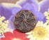 Bezelry 12 Pieces Flower Flourish Dark Copper Color Metal Shank Buttons. 20mm (3/4 inch) (Dark Copper)...