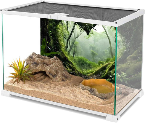 AWERT 72x24 inches Polyester Tropical Rainforest Terrarium Background Stream Green Huge Tree Reptile Habitat Background Foggy Rainforest Aquarium ...