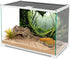 AWERT 72x24 inches Polyester Tropical Rainforest Terrarium Background Stream Green Huge Tree Reptile Habitat Background Foggy Rainforest Aquarium ...