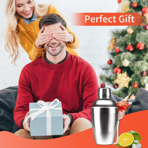 Newness Cocktail Shaker, Stainless Steel Martini Shaker, Drink Shaker Built-in Strainer, Professional Stainless Margarita Mixer, Bartender Kit Gif...