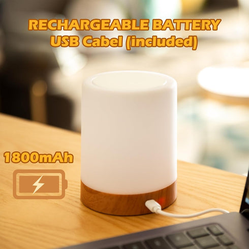 Night Light, LED Touch Bedside Table Lamp, Muti-Colour, USB Rechargeable, Remote Control, Portable Lamp for Baby Bedroom, Living Room...