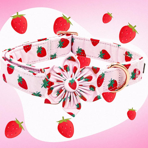 Elegant little tail Dog Collar with Flower, Strawberries Print Pet Collar Flower Dog Collar Summer Cute Dog Collar Adjustable Dog Collar for Small...