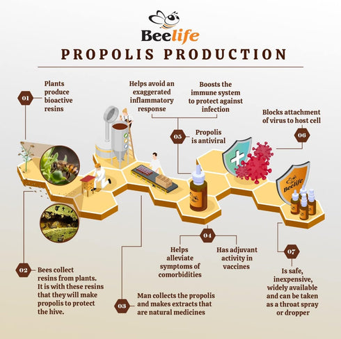 Propoflex Organic Green Propolis Extract - High Artepillin-C Levels, Antioxidant-Rich Supplement for Overall Wellness - Natural & Kosher-Friendly ...