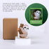 Cute Baby Sloth Birthday Candle for Party Baby Shower...