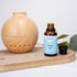 Clean Air Fragrance Oil - ESSLUX Aromatherapy Essential Scented Oils for Diffuser, Massage, Soap, Candle Making Scents, Perfume, Home Fragrance, 3...