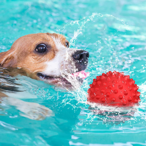 Apasiri Dog Balls Squeaky Dog Toys for Large Dogs, Dog Toys for Aggressive Chewers, Tough Spiky Dog Ball, Dog Ball, Floatable Rubber Pet Toys for ...