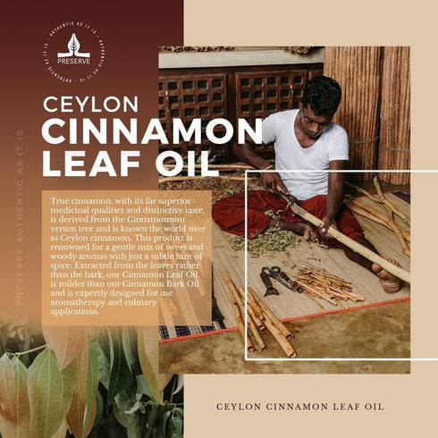 PRESERVE Ceylon Cinnamon Leaf Essential Oil, 100% Pure Natural Oil, Undiluted, Therapeutic Grade base Oil for Aromatherapy, Diffuser, Fragrance, F...