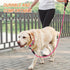 BARKBAY Dog Leashes for Large Dogs Heavy Duty Dog Leash 2 PACK 5 FT with Comfortable Padded Handle Highly Reflective Threads for Medium Large Dogs...