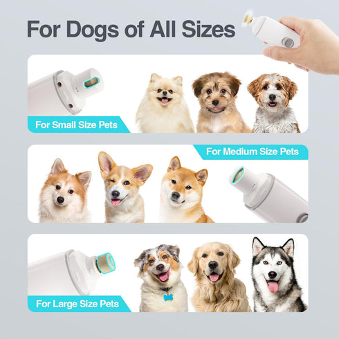 ALL FOR PAWS Dog Nail Grinder, Professional Electric Pet Nail Trimmer Super Quiet Painless Paws Grooming & Smoothing Tool for Large Medium Small D...