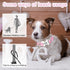 ARING PET Valentine's Day Dog Collar-Cute Pink Heart Dog Collar, Adjustable Pet Collars Puppy Collar with Quick Release Buckle for Small Medium La...