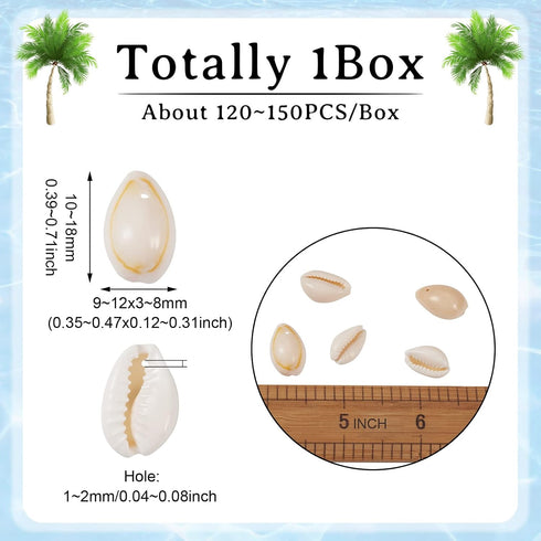 Craftdady 9-12mm Natural Spiral Sea Shell About 120-150Pcs Tiny Cowrie Beach Seashells for Summer Ocean Jewelry Making Fish Tank Vase Filler Decor...