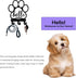 Dog Leash Holder for Wall, Leash Holder Wall Mount,Dog Stuff Storage Organizer, Wall Mount with Hello - Dog Leash, Dog Stuff, Key, Organizer Wall ...