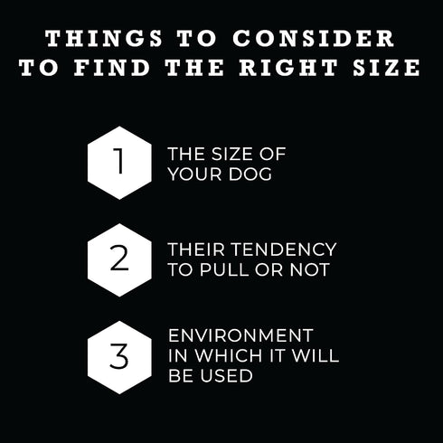 Wolfgang Premium Leash for Small Medium Large Dogs, Made in USA, DarkFloral Print, Small (5/8 Inch x 4 Feet)...