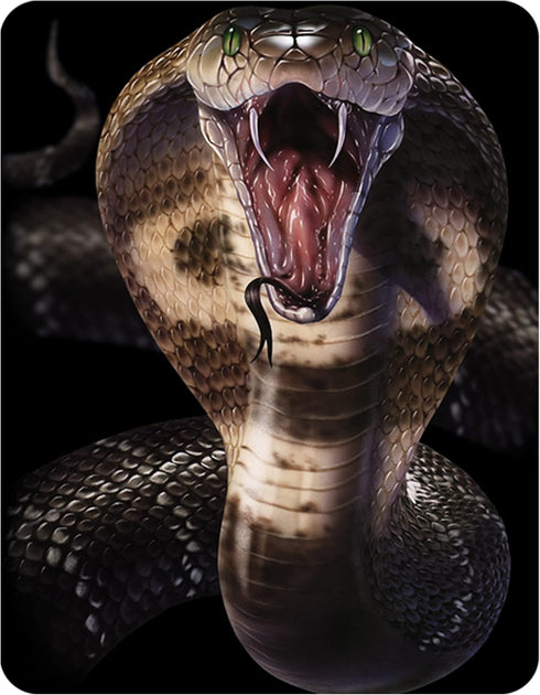 Magnet - Cobra from Deluxebase. Lenticular 3D Snake Fridge Magnet. Magnetic Decor for Kids and Adults with Artwork Licensed from Renowned Artist, ...
