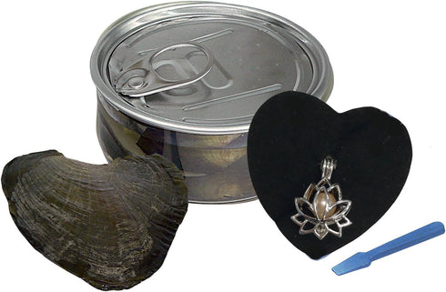 My Inspirations Precious Pearl – Lotus Pendant with 20" Chain, Pearl in Oyster DIY Necklace KIt, Unique Gift Set...