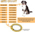 Heavy Duty Cuban Link Chain Dog Collars 15MM Gold/Silver Stainless Steel Metal Walking Training Collars with Cute Secure Design Buckle, Chew Proof...